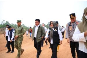 23_Gambut